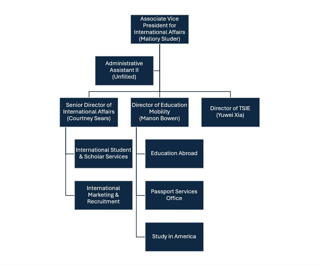 international affairs organization chart