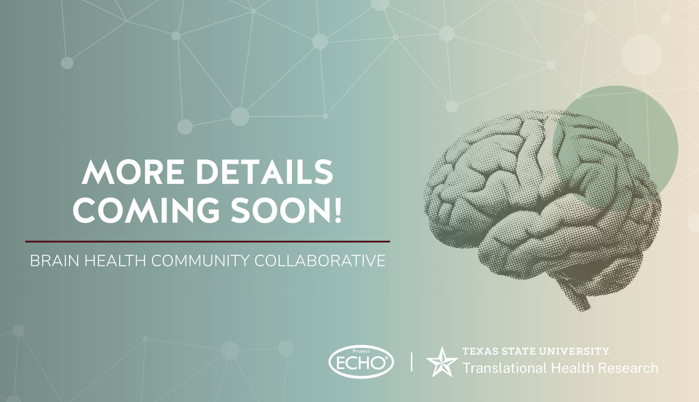 More Details Coming Soon - Placeholder Image