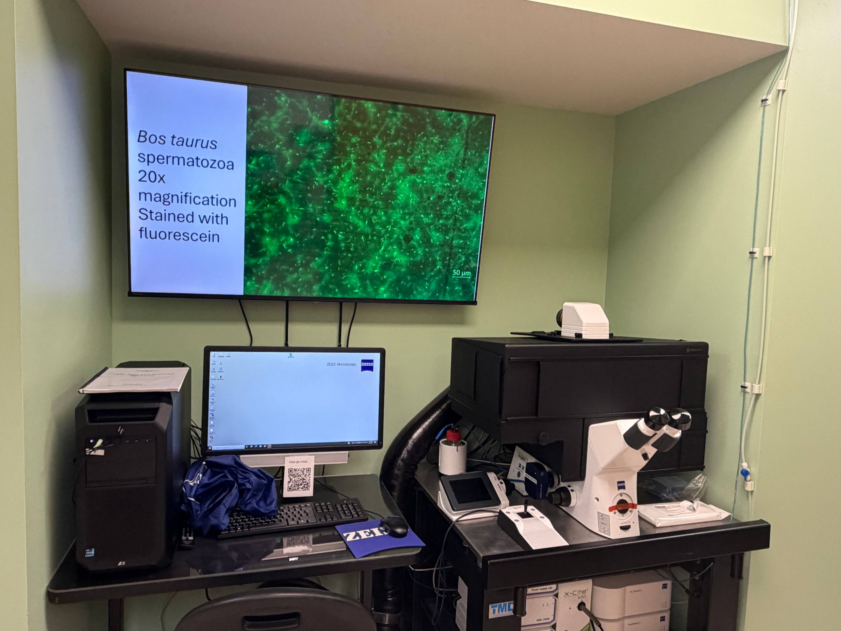 Zeiss Axio Incubation Microscope