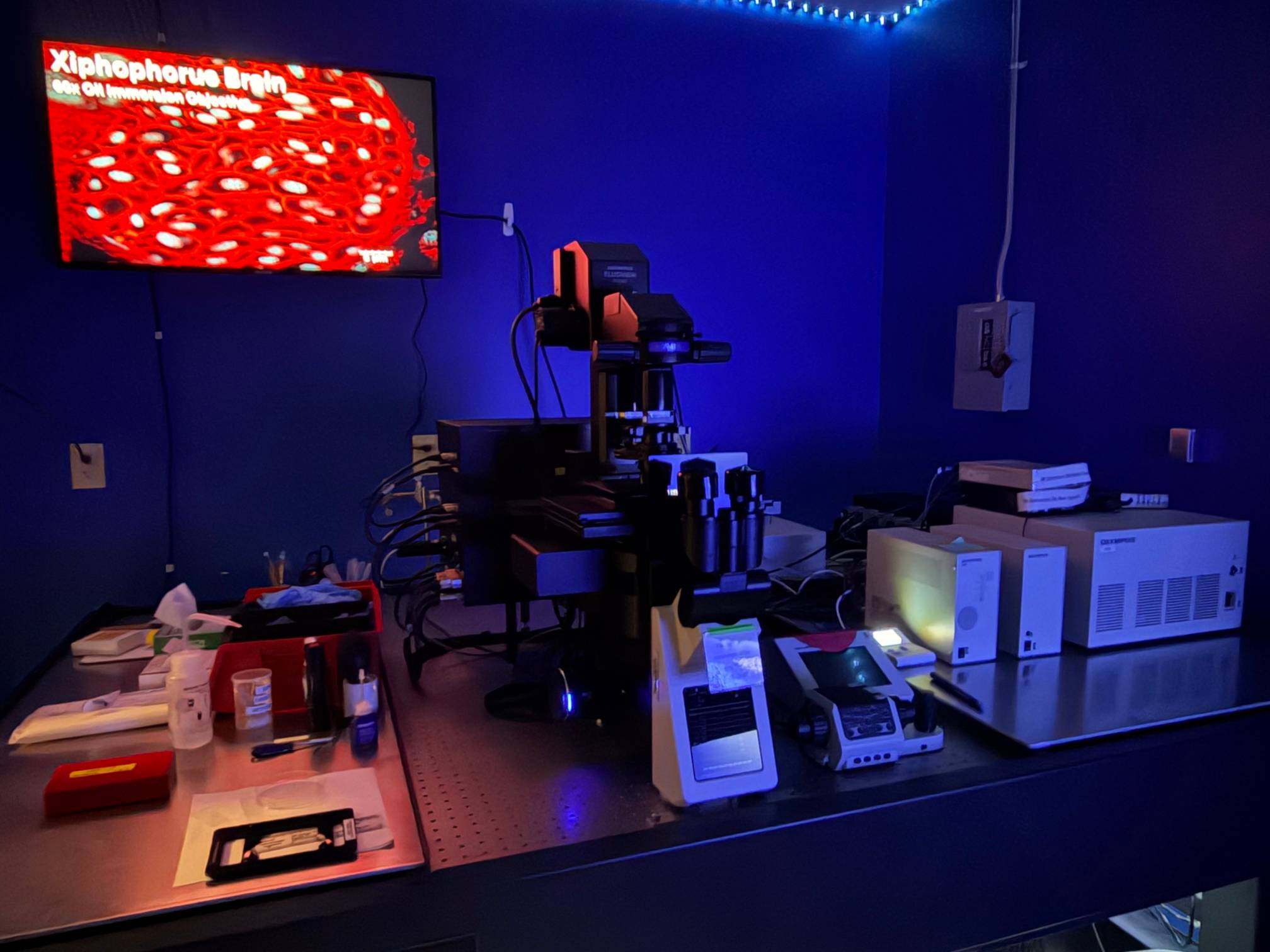 OLSCM