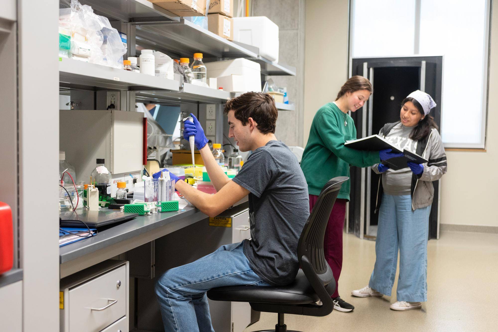 Students working in a lab