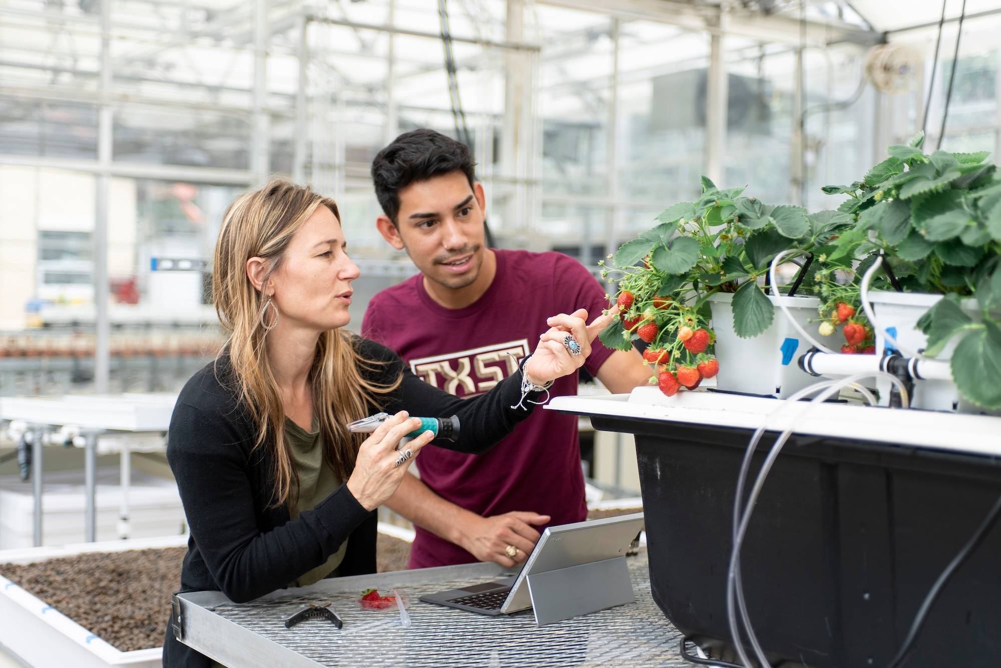 Student and professor looking at plants in a greenhouse