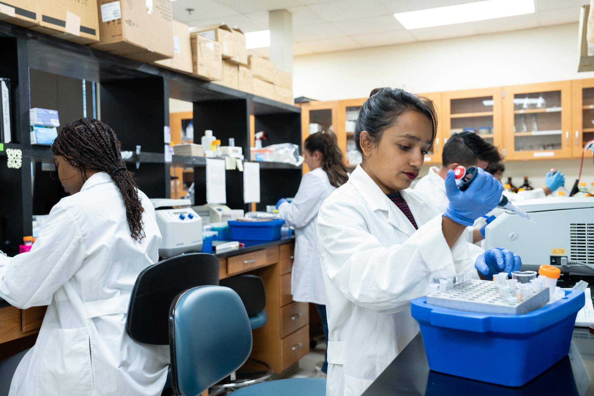 researchers in a lab environment