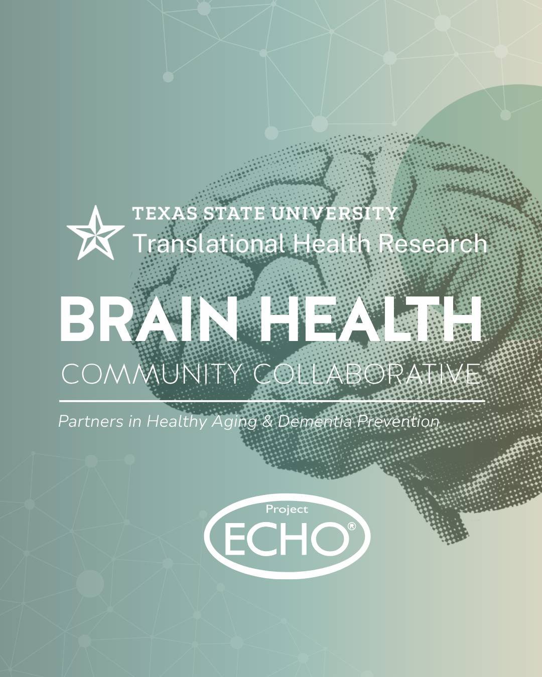 Graphic for Texas State University Translational Health Research Brain Health Community Collaborative. Features a stylized illustration of a brain over a soft green and blue gradient background with network pattern accents. Includes the text ‘Partners in Healthy Aging & Dementia Prevention’ and the Project ECHO logo at the bottom.