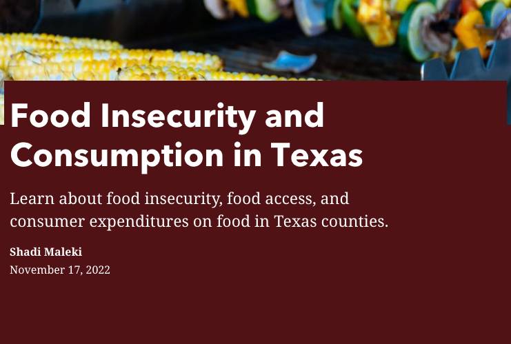 Banner image with grilled corn in the background and a maroon overlay featuring the title “Food Insecurity and Consumption in Texas,” along with a subtitle about food access and consumer spending in Texas counties, credited to Shadi Maleki, dated November 17, 2022.