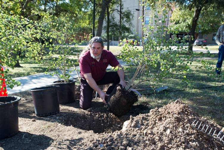 Tree planting on campus.