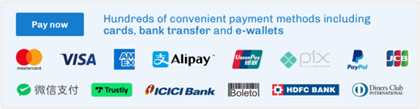 Flywire's various payment options