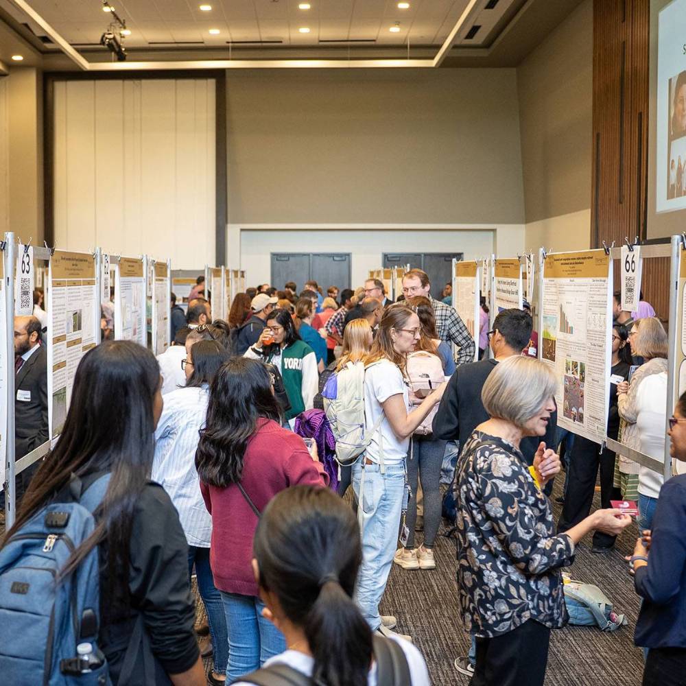 GSRC conference taking place with students observing the posters 