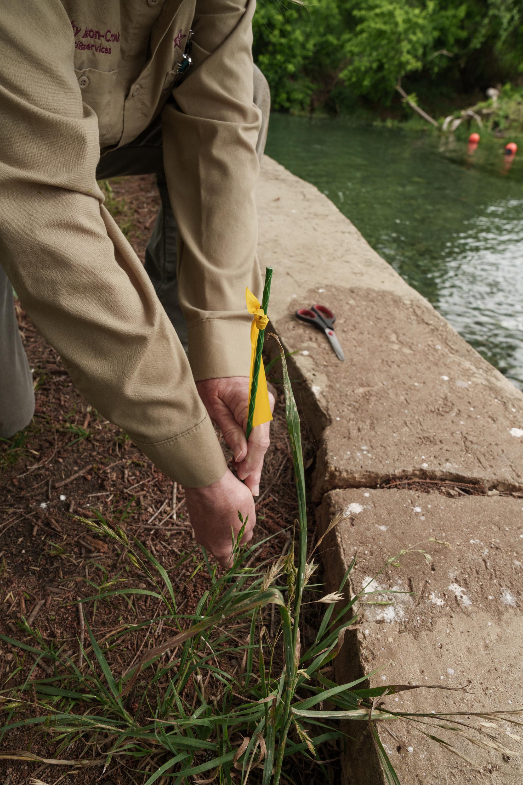 close up of person placing a rod into the ground near a river