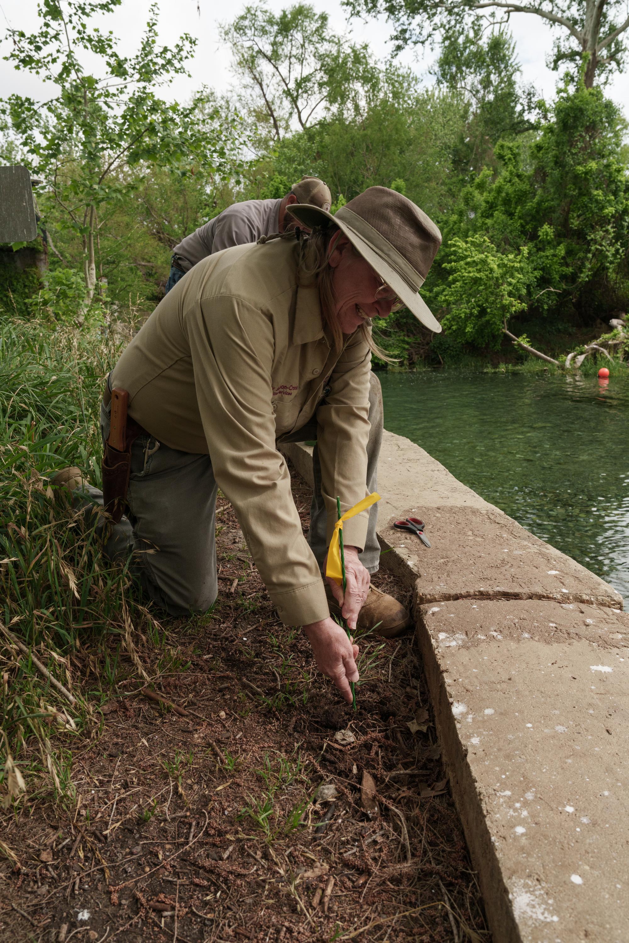 person smiles while placing a rod into a patch of soil near a river