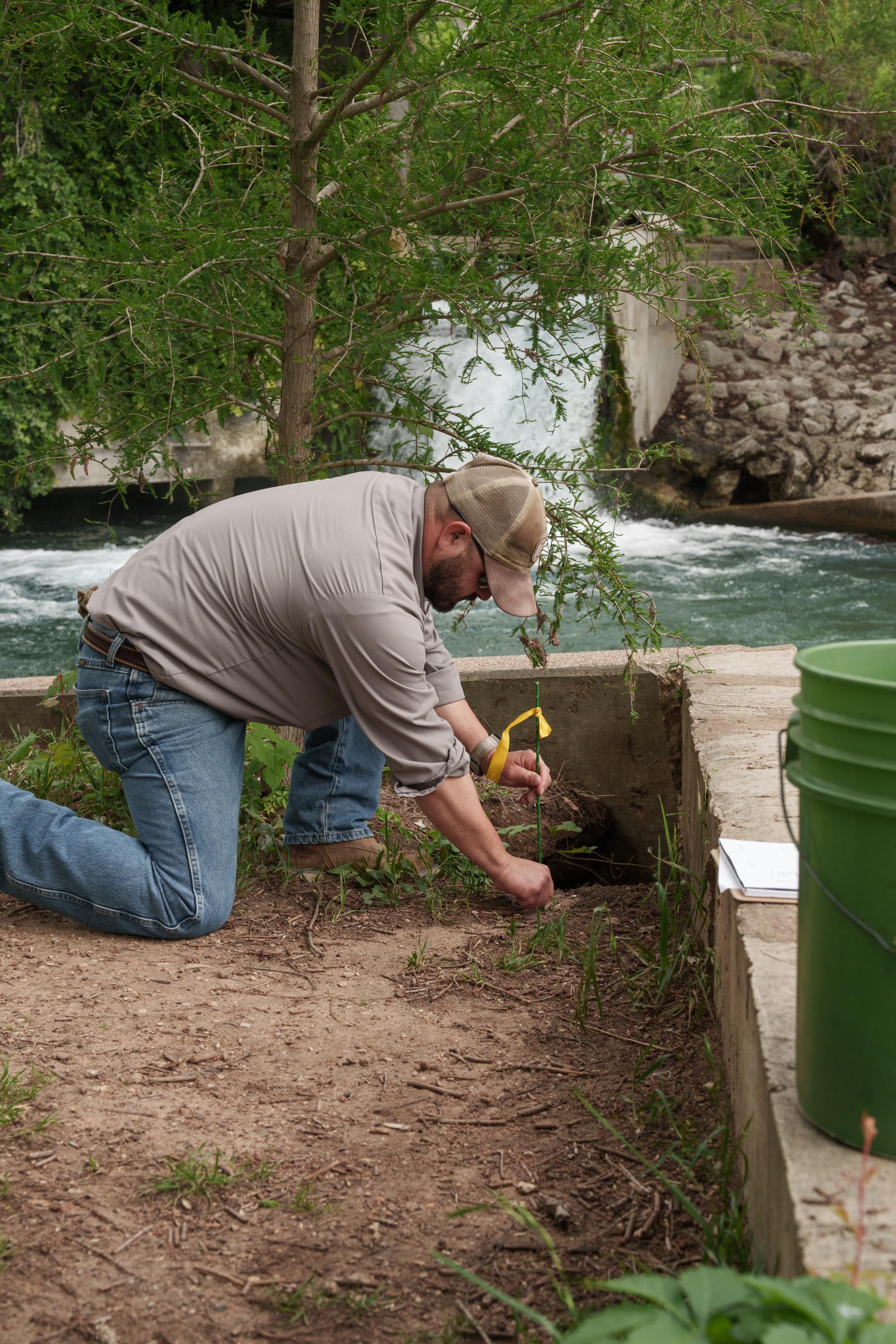 man kneels into soil patch while placing rod into the ground