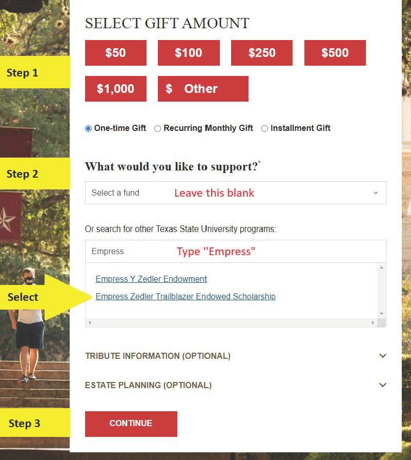 This is a screenshot of the webpage where people can make donations