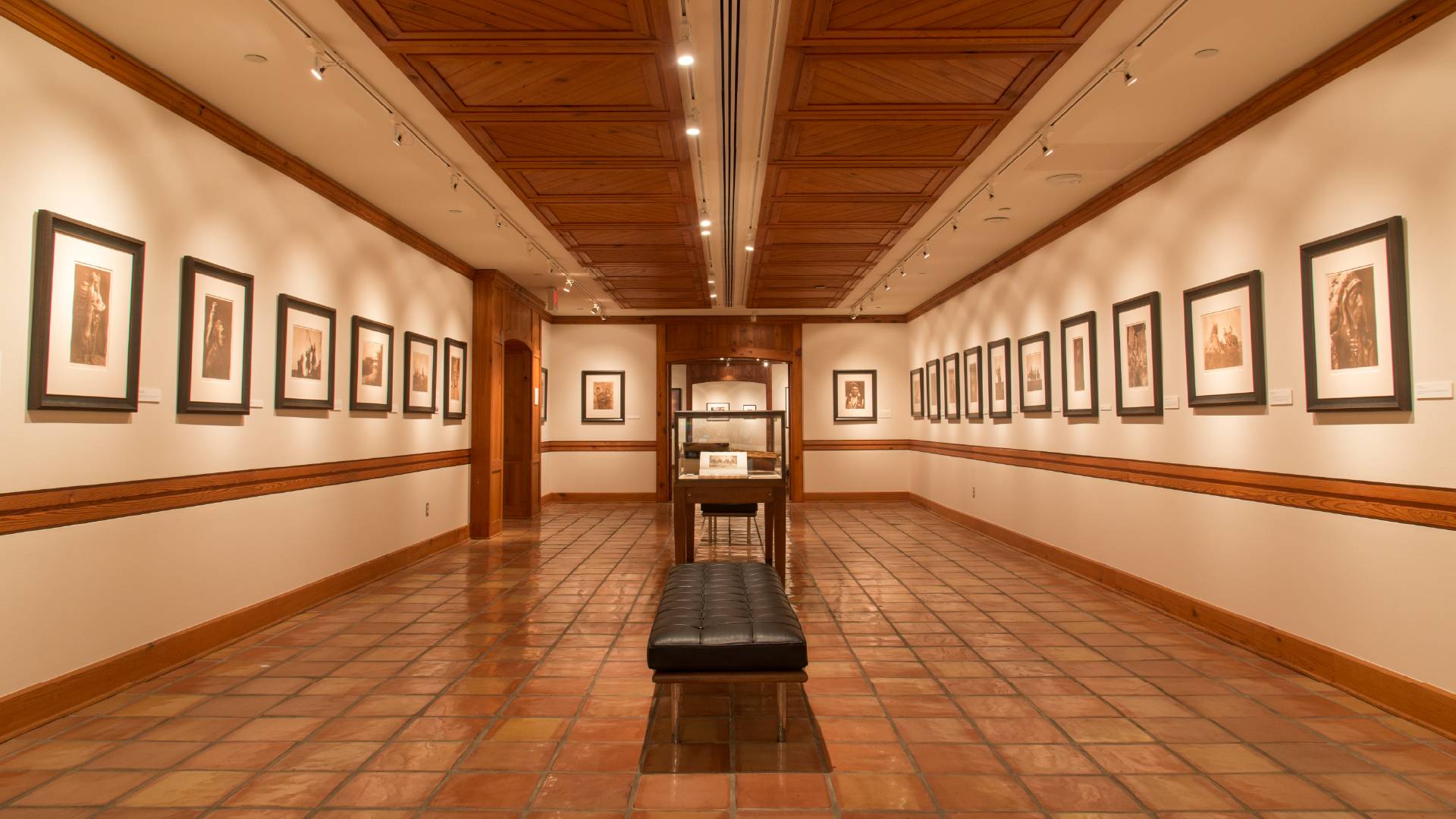 Image of Witliff Collections long hallway gallery with a bench centered in the middle surrounded by gallery portraits on either side.