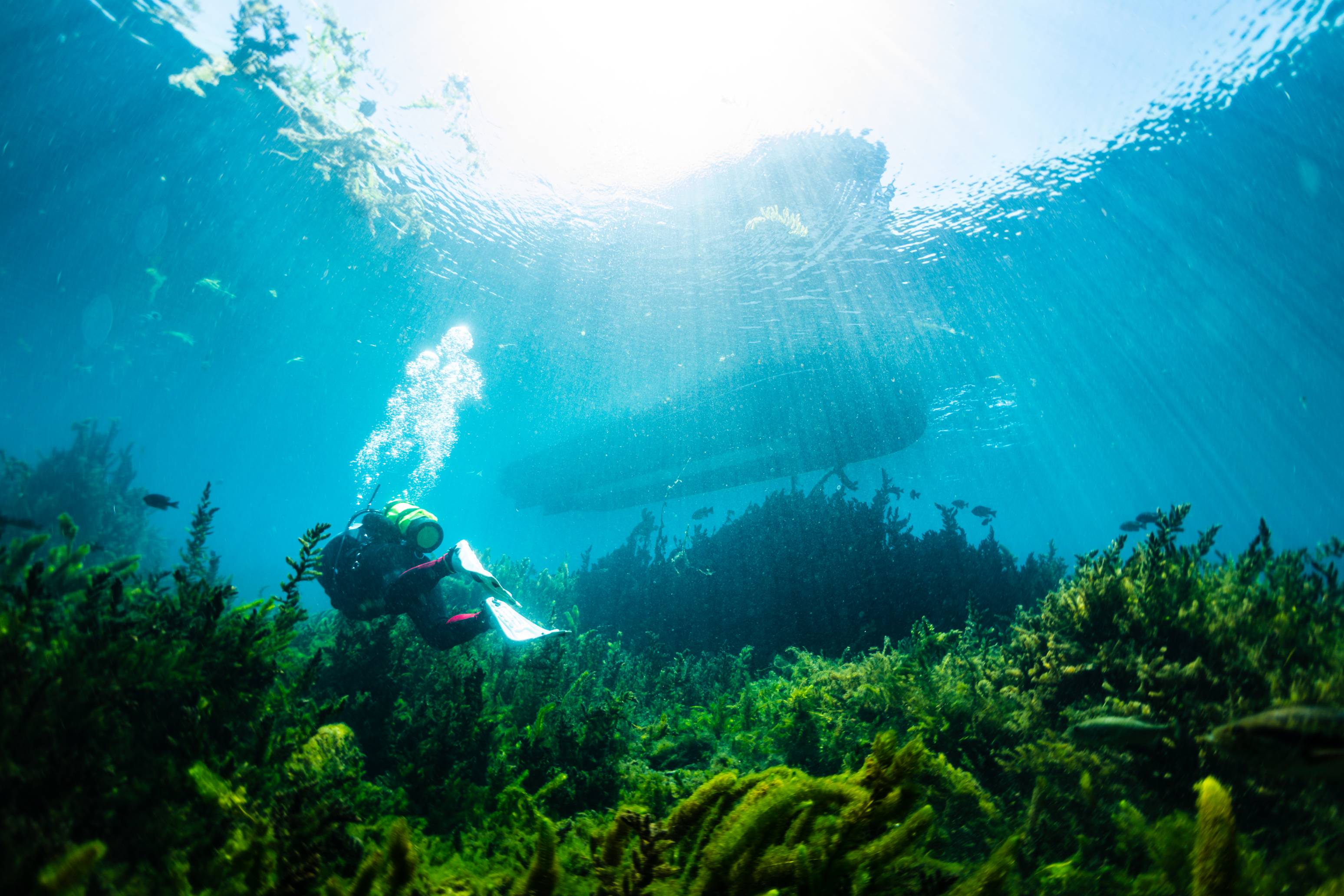 view from underwater of the bottom of a boat floating on top