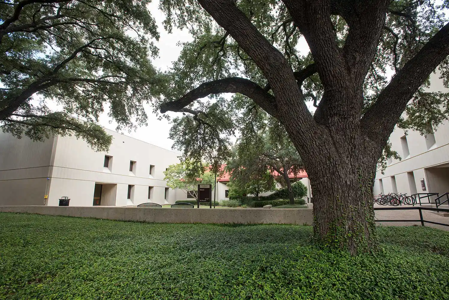 Schneider music library building