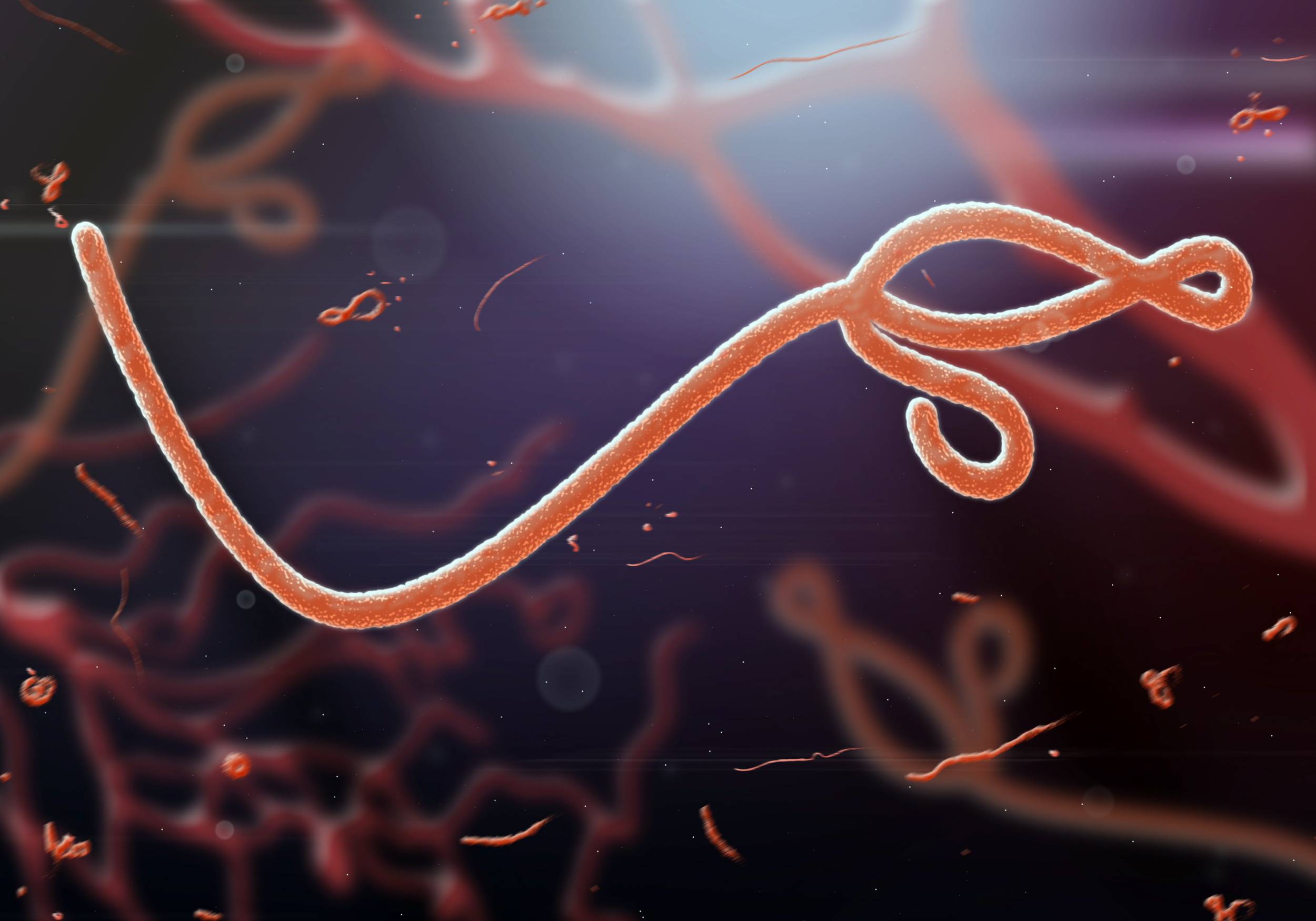 digital depiction of microscopic view of ebola virus