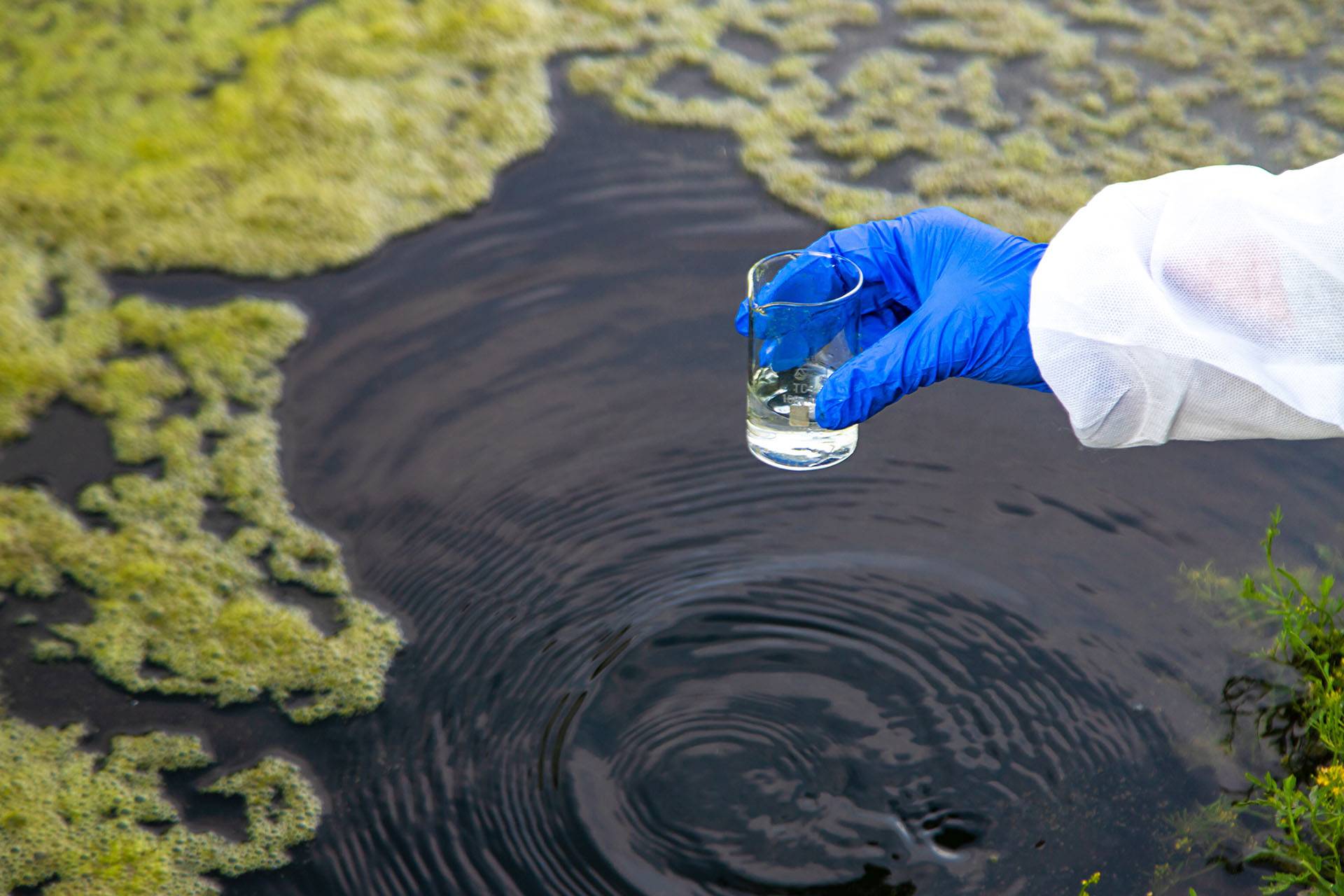 person wearing blue gloves holding a beaker above a body of water