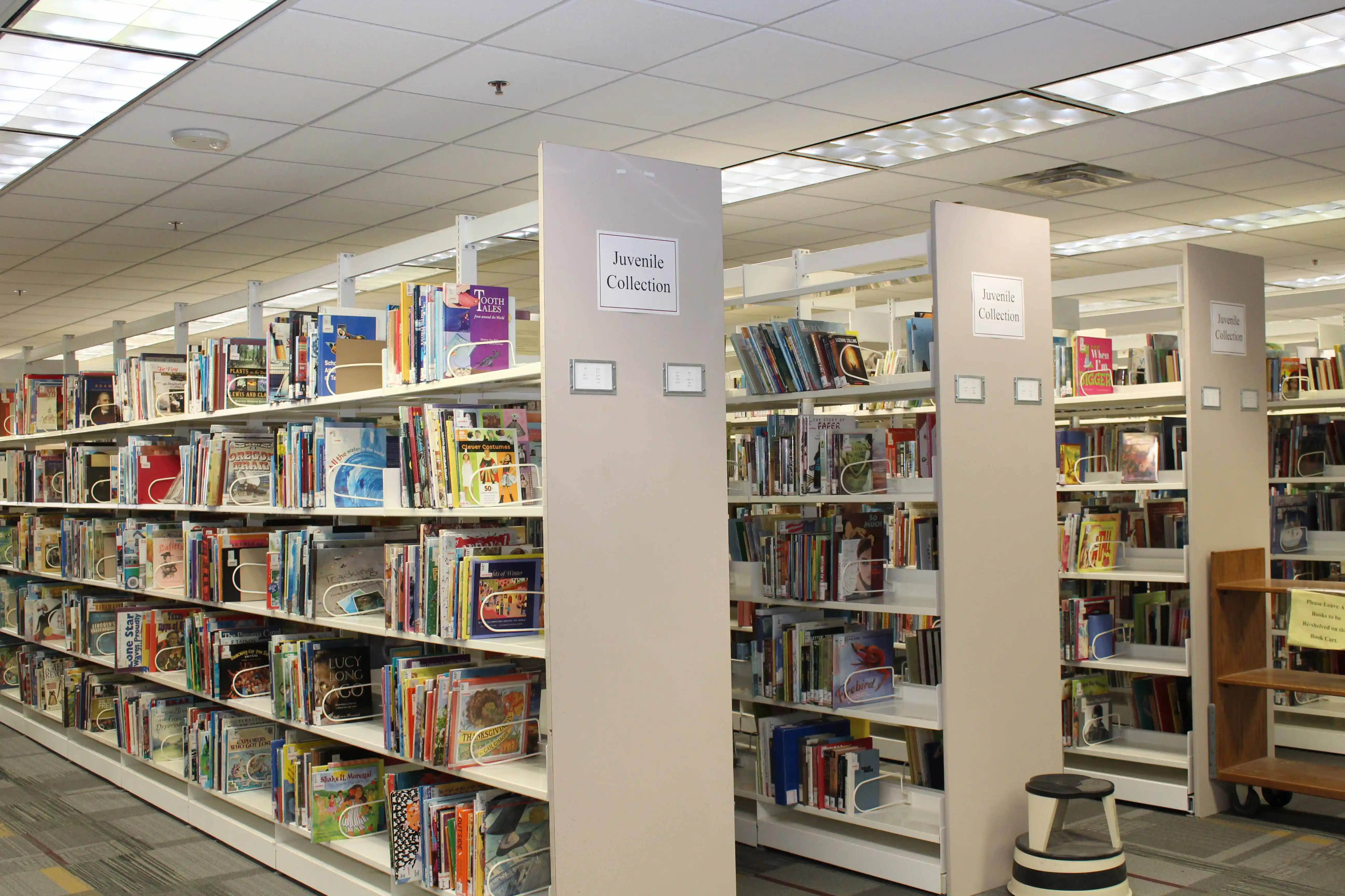 Photo of 3rd floor juvenile collection