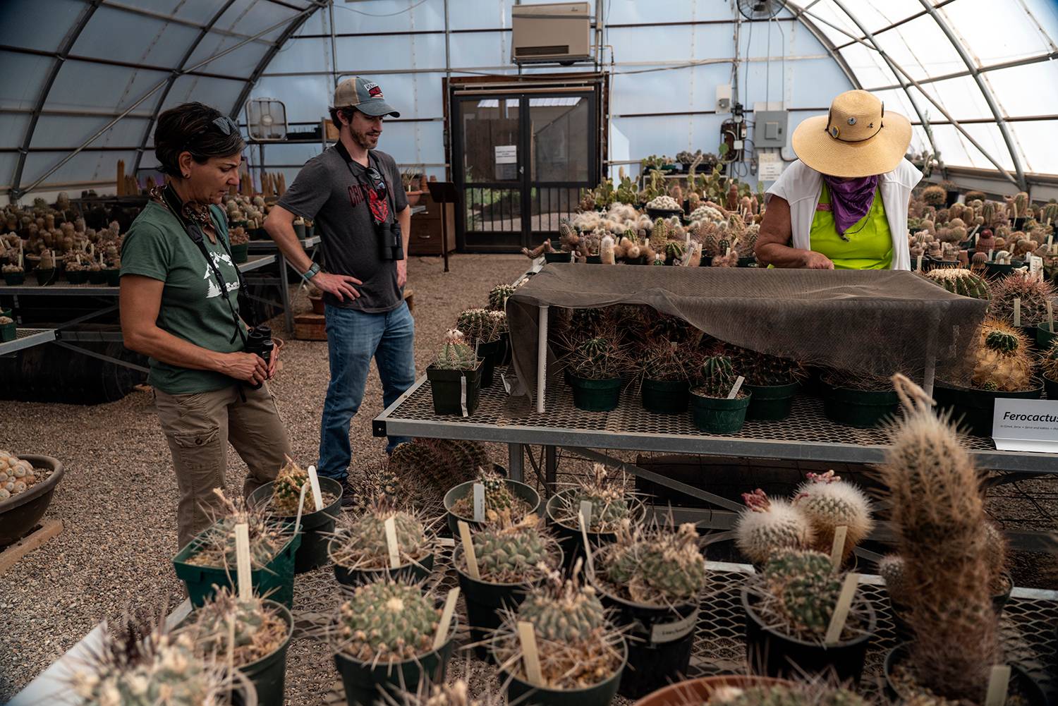 students and instructor stand near cacti in a covered greenhouse