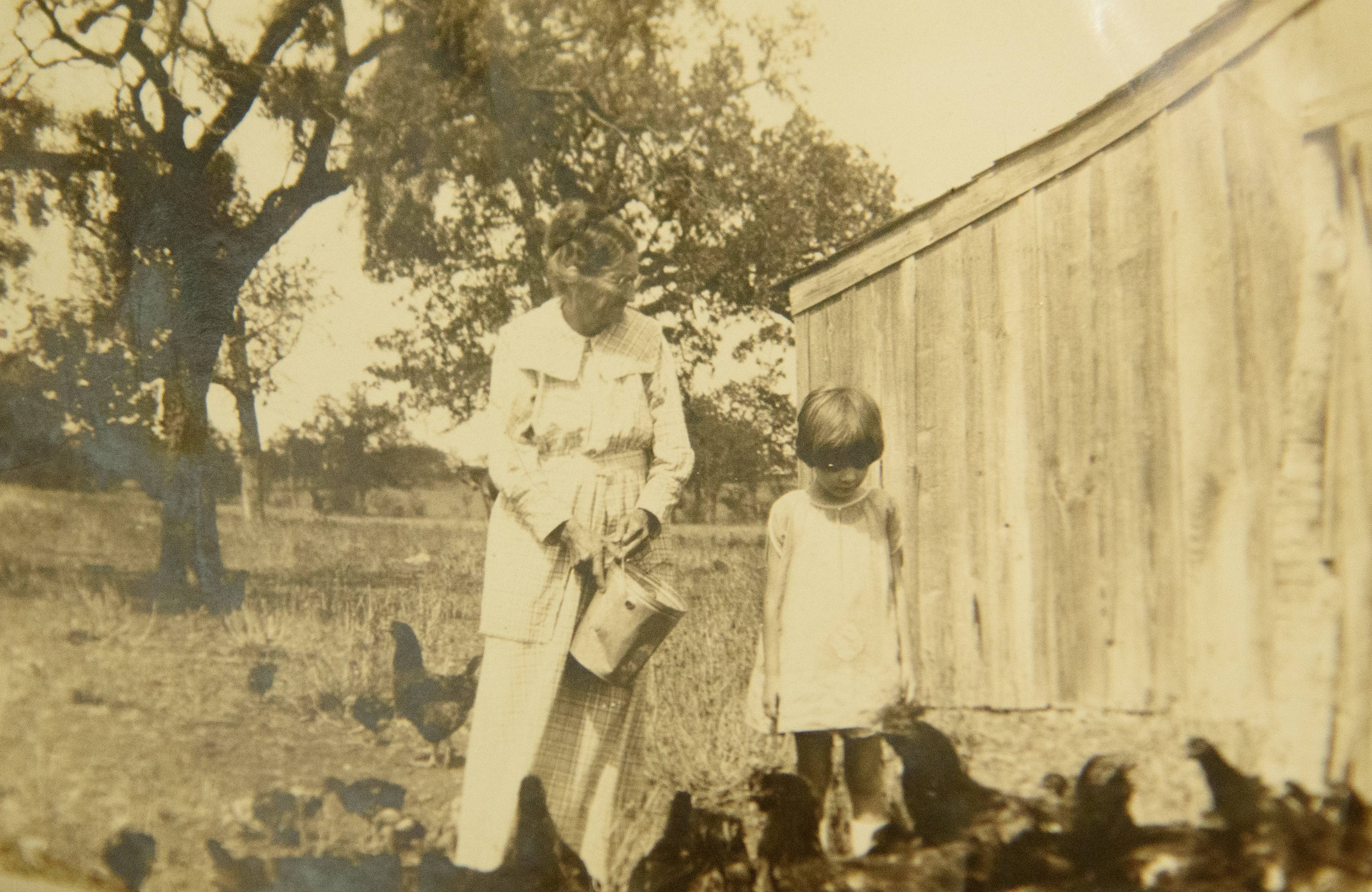 sepia photo of young child feeding chickens with older woman