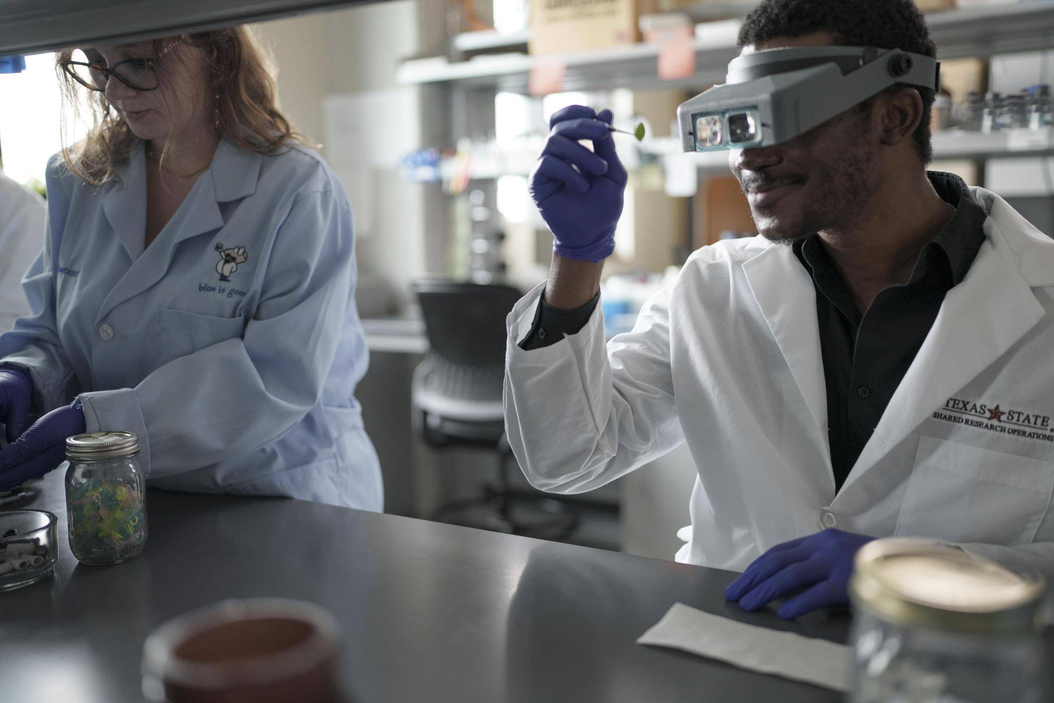 A man and a woman examine specimens in a lab for molecular biology research.