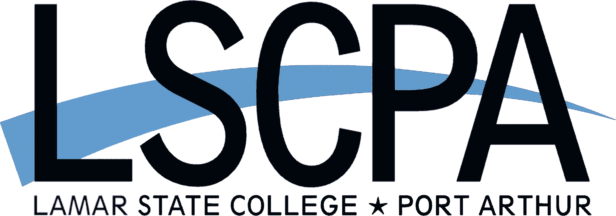 logo in black and blue
