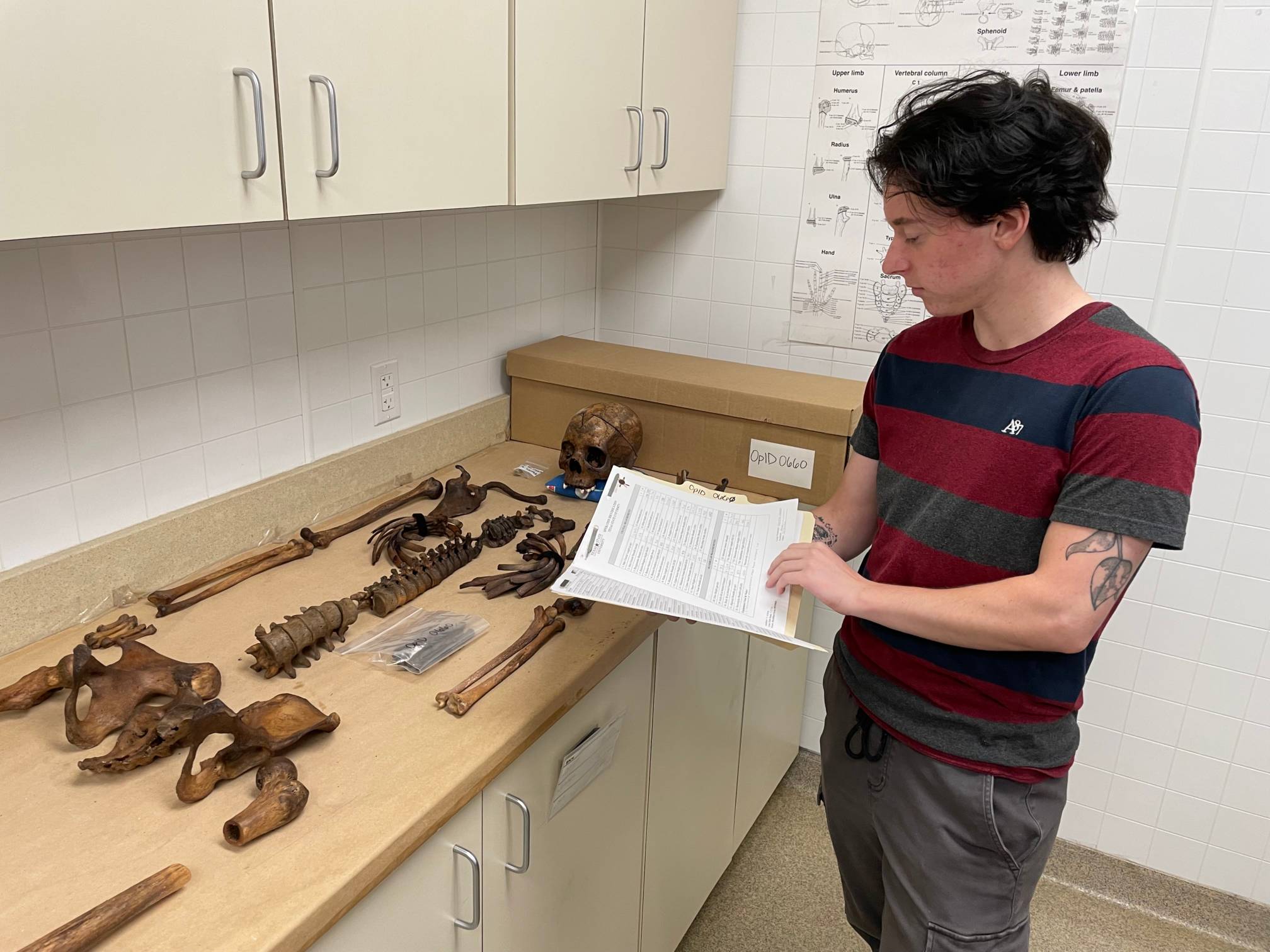 Student doing anthropology research with bones
