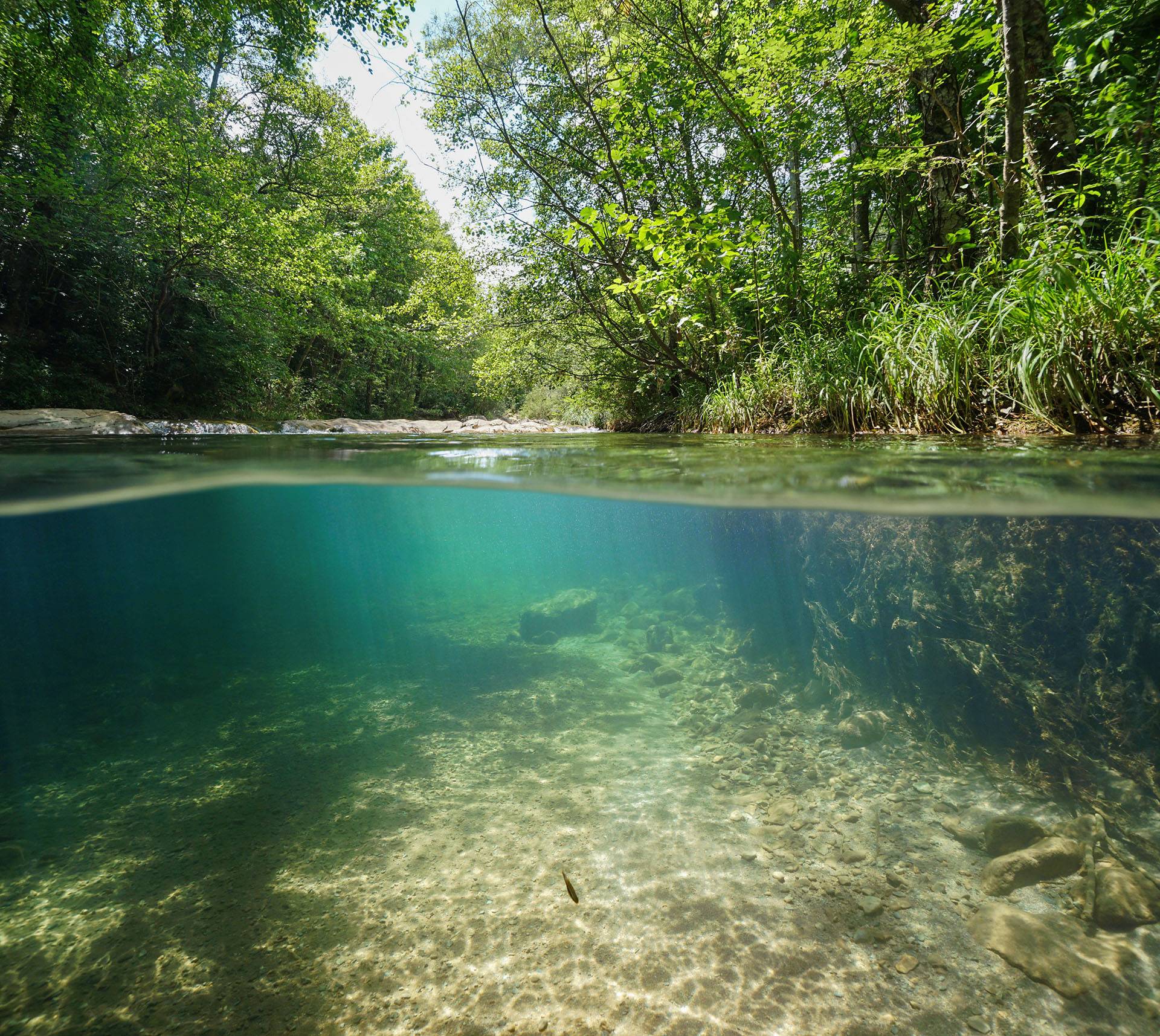San Marcos Springs in Spring Lake 