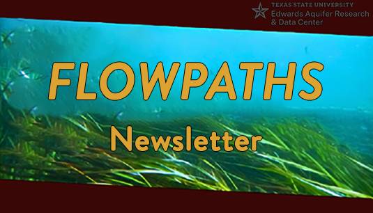 flowpaths logo