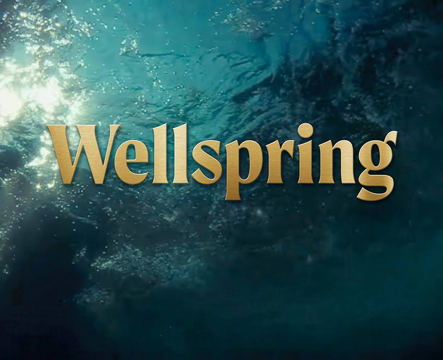 Wellspring logo over water photo