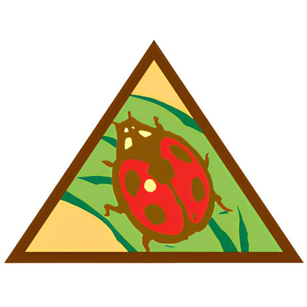 Animal Observer Patch