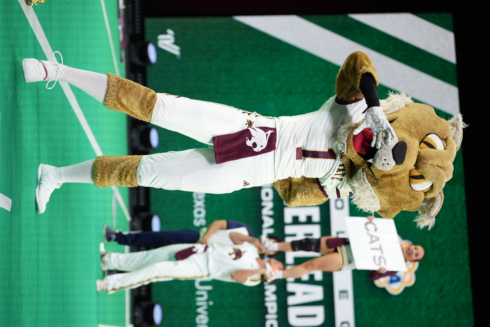 bobcat mascot poses during cheerleading competition