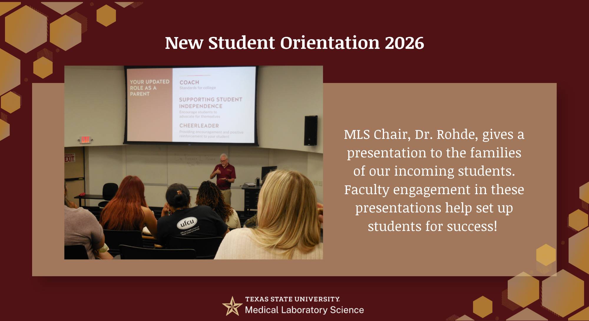 Dr. Rohde giving a presentation for NSO