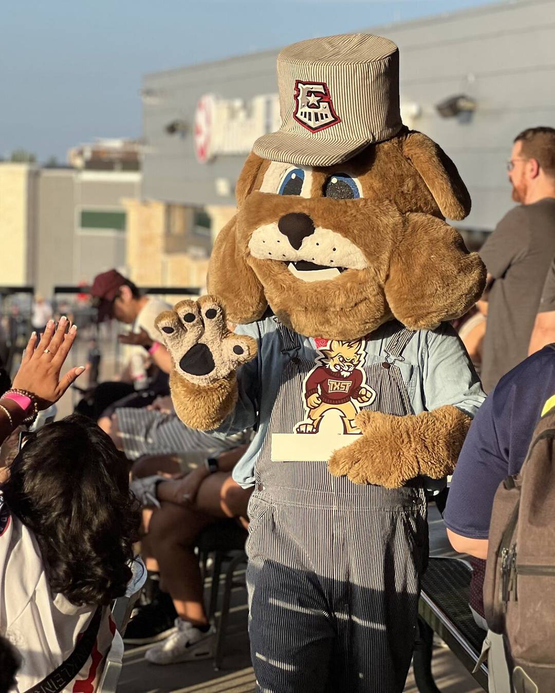 Round Rock Express mascot holding a Texas State Bobcat paper sign