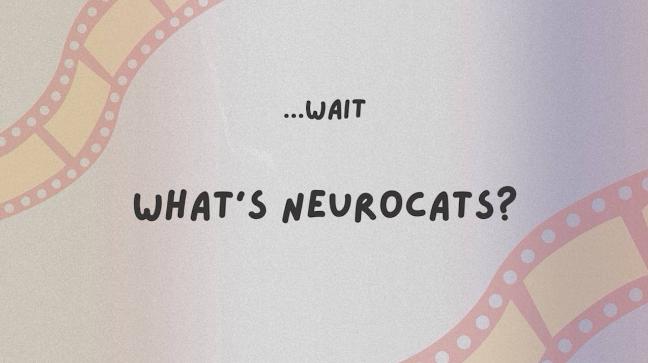 NeuroCats program coordinator, Dr. Lori Wischnewsky, sits down on a couch and discuss what NeurCats is.