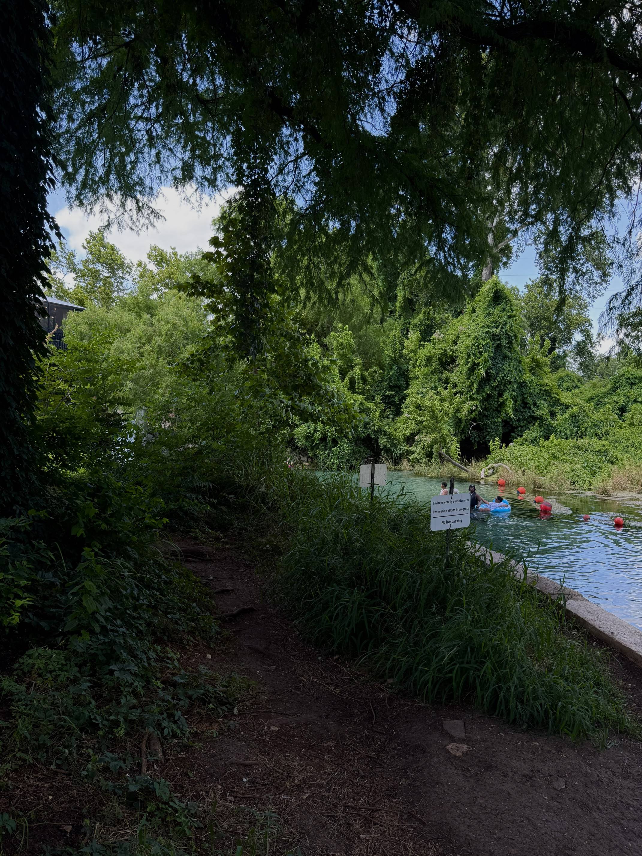 Riparian area near headwaters