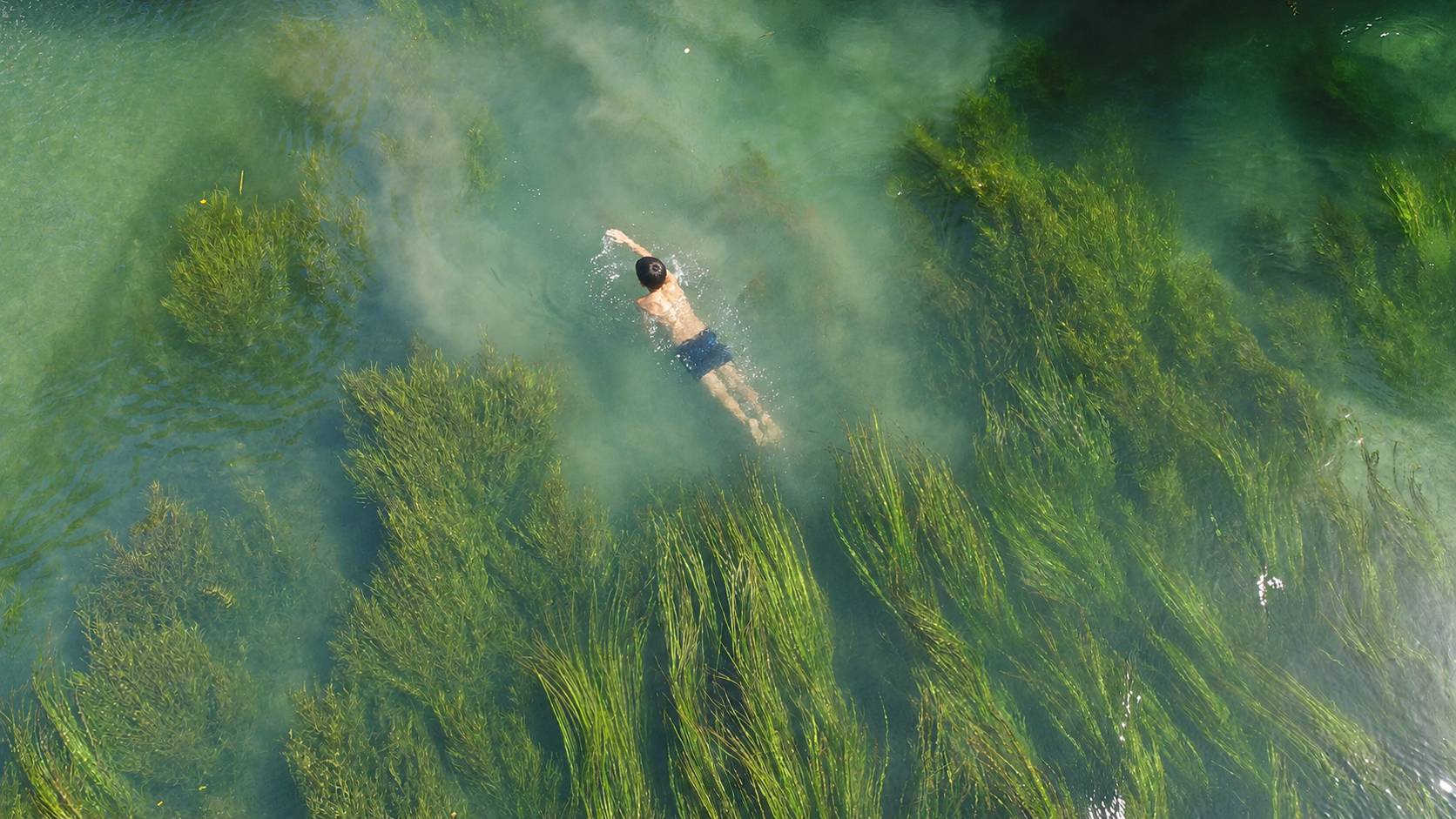 Swimming in San Marcos River