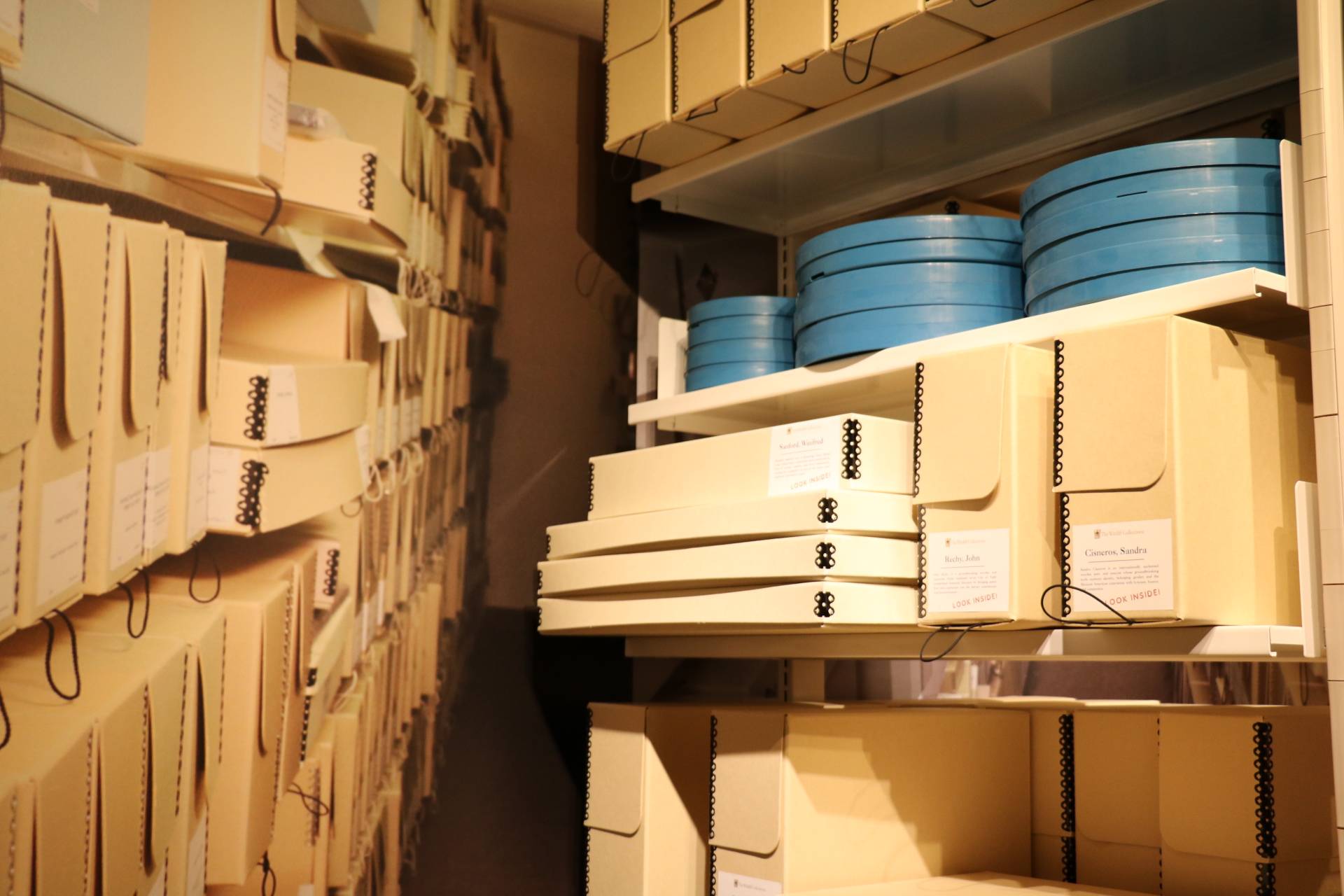 Photo of shelves of archive materials