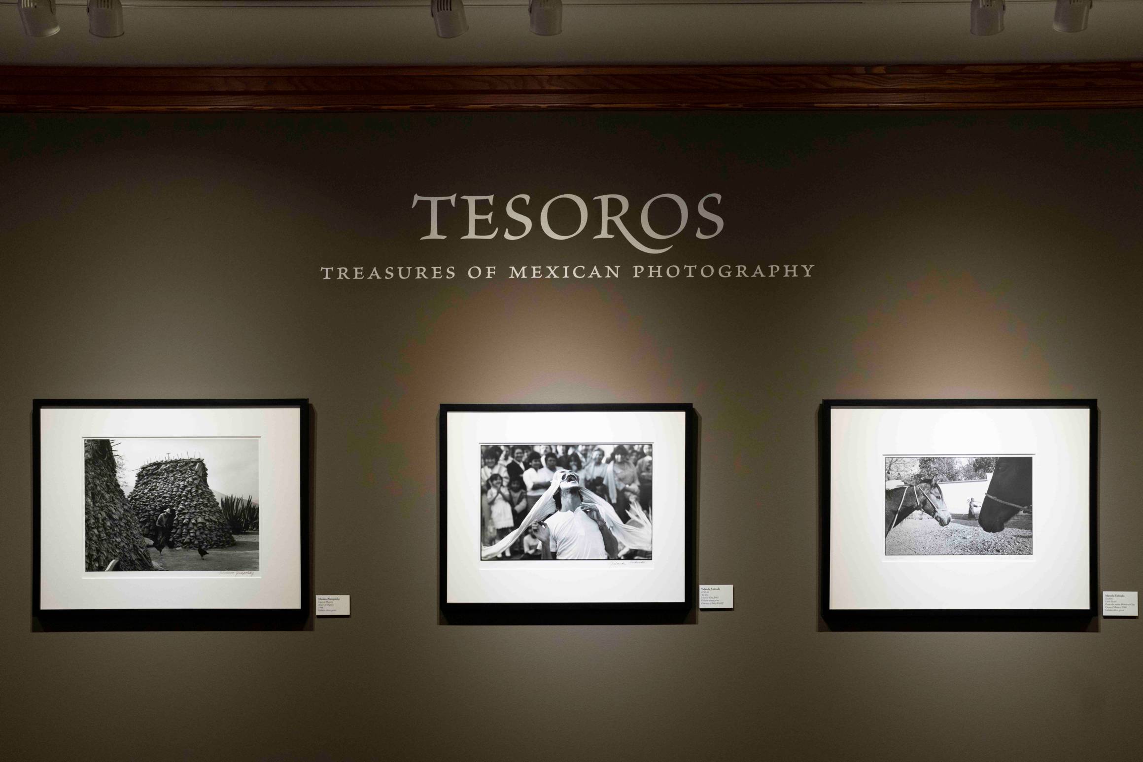 Photo of the Tesoros gallery