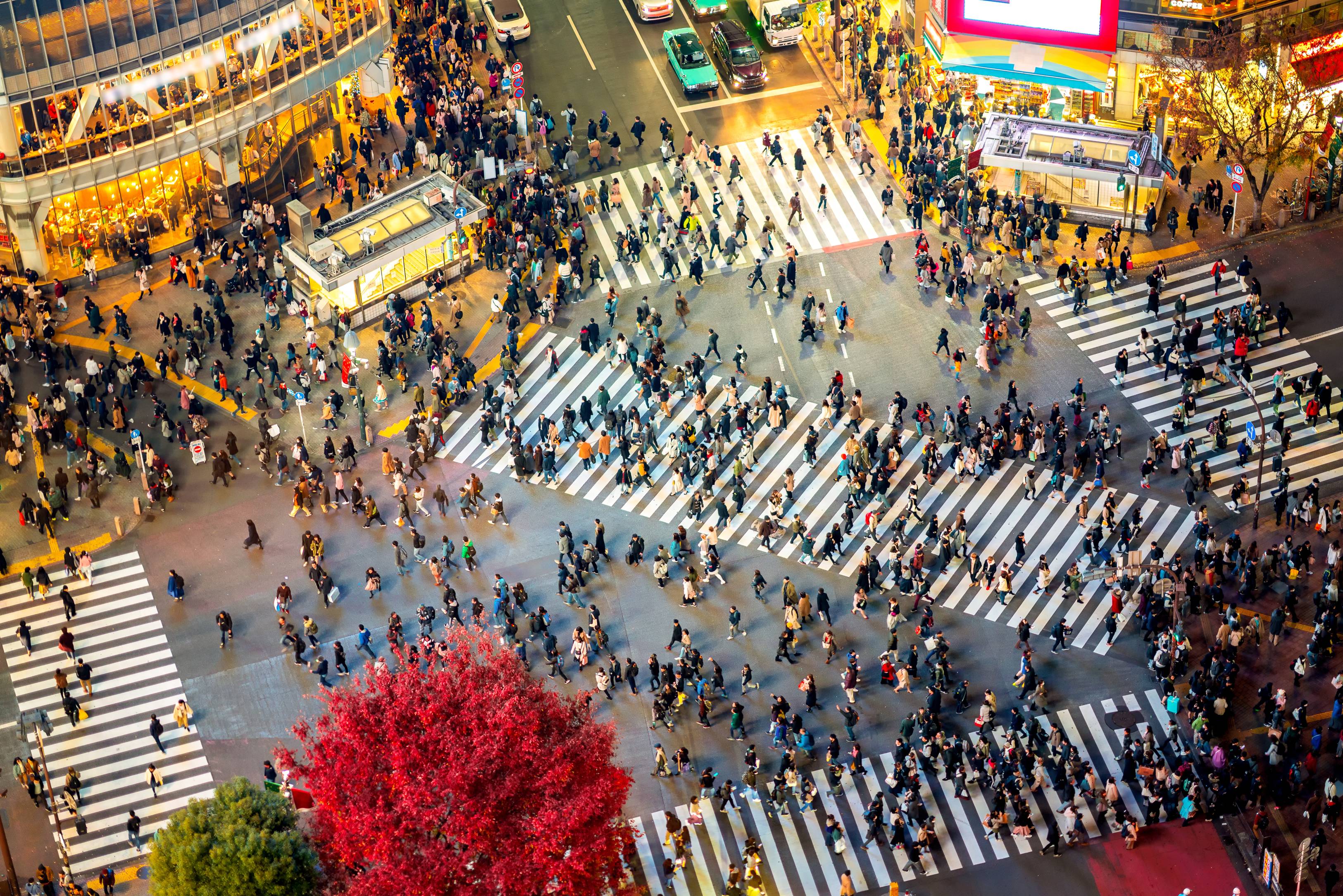 aerial view of people walking in Shibuya Crossing