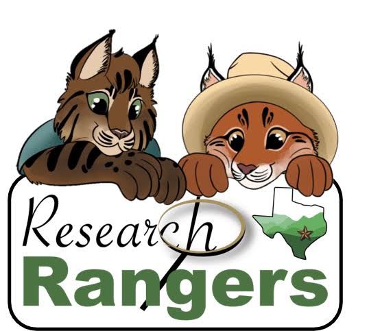 2 cartoon cats looking at a text that reads "research rangers"