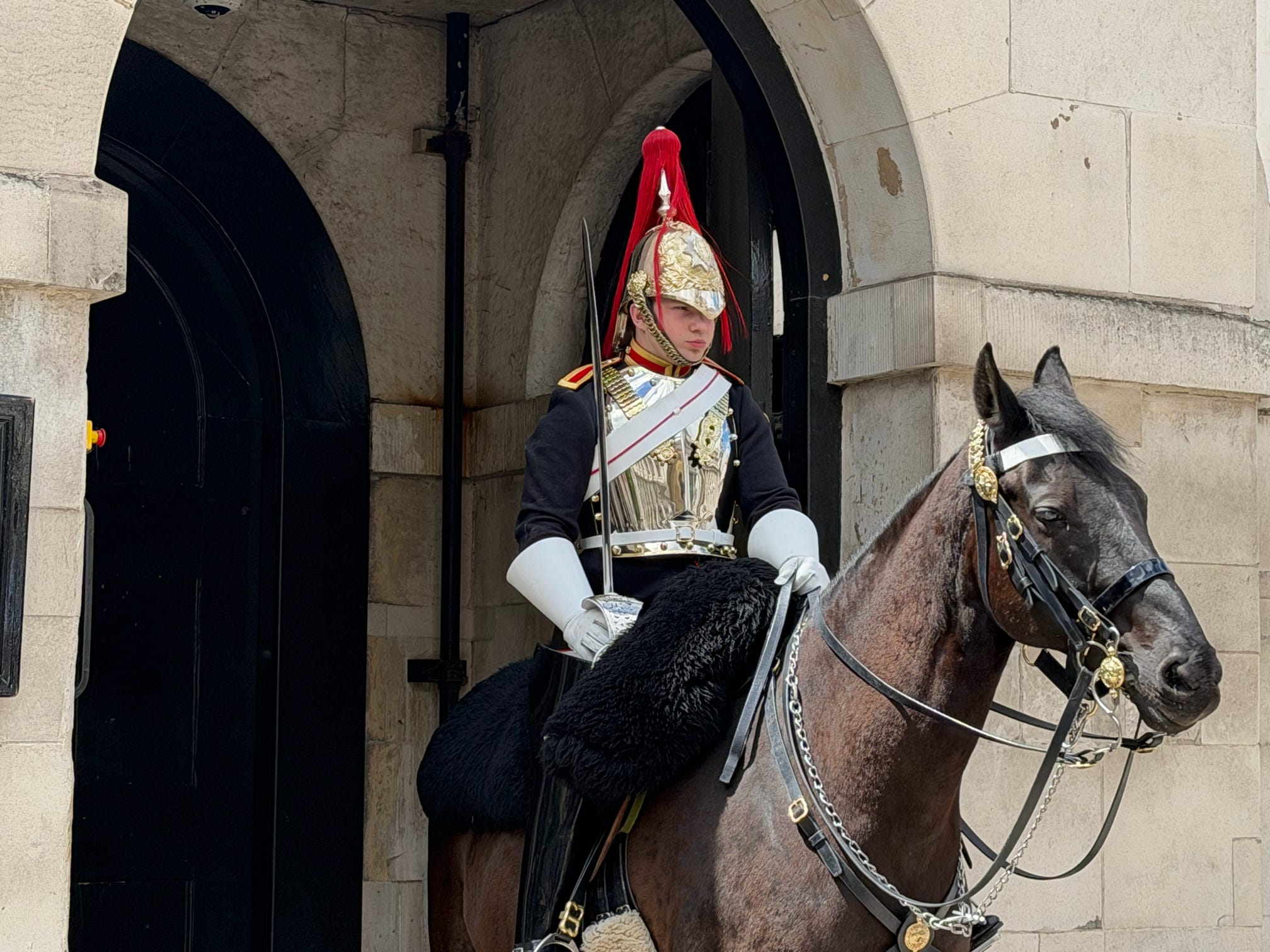 A Household Cavalry mounted guard - London, United Kingdom