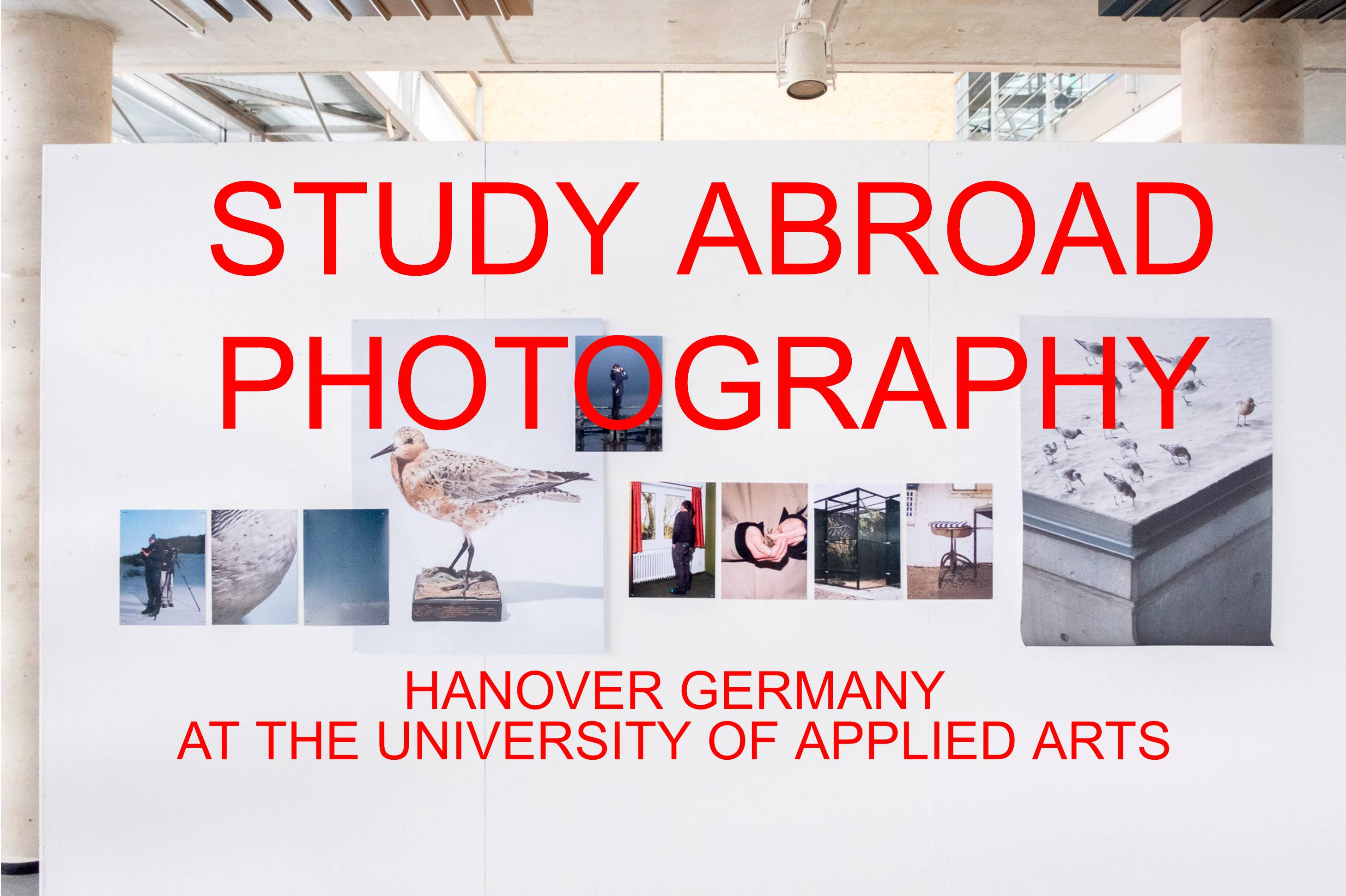 images on a white gallery wall with overlay red text that reads: Study abroad photography. Hanover Germany at the University of Applied Arts