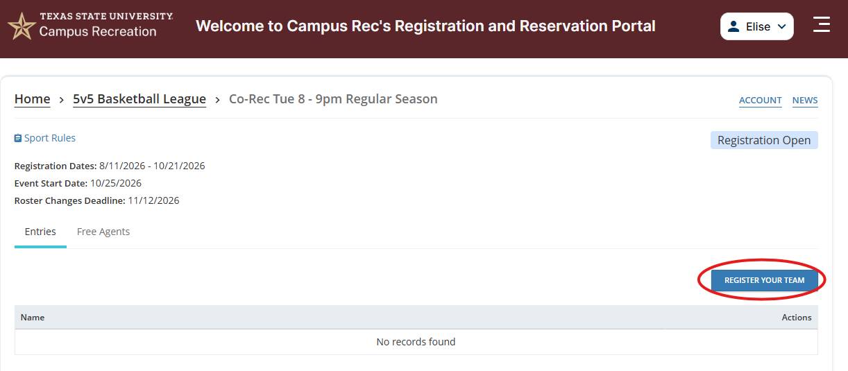 On DSE click the Register your team button
