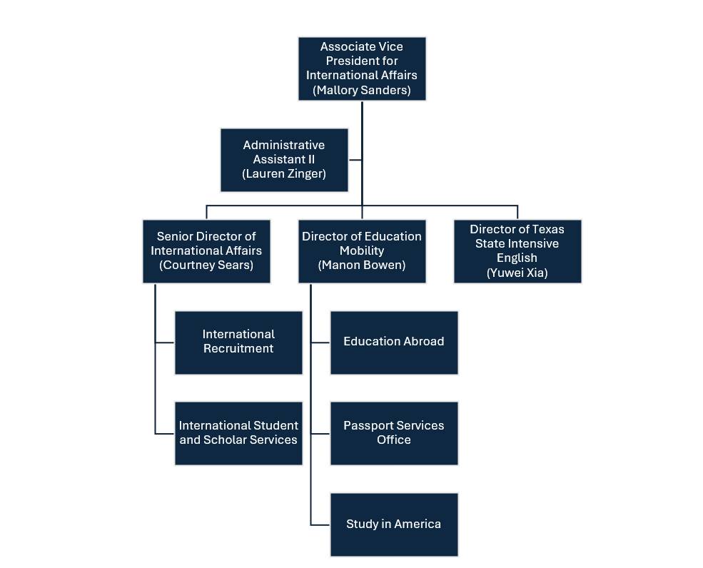international affairs org chart
