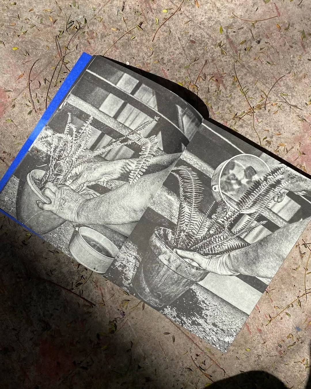 A book with two pencil drawings of someone potting a plant