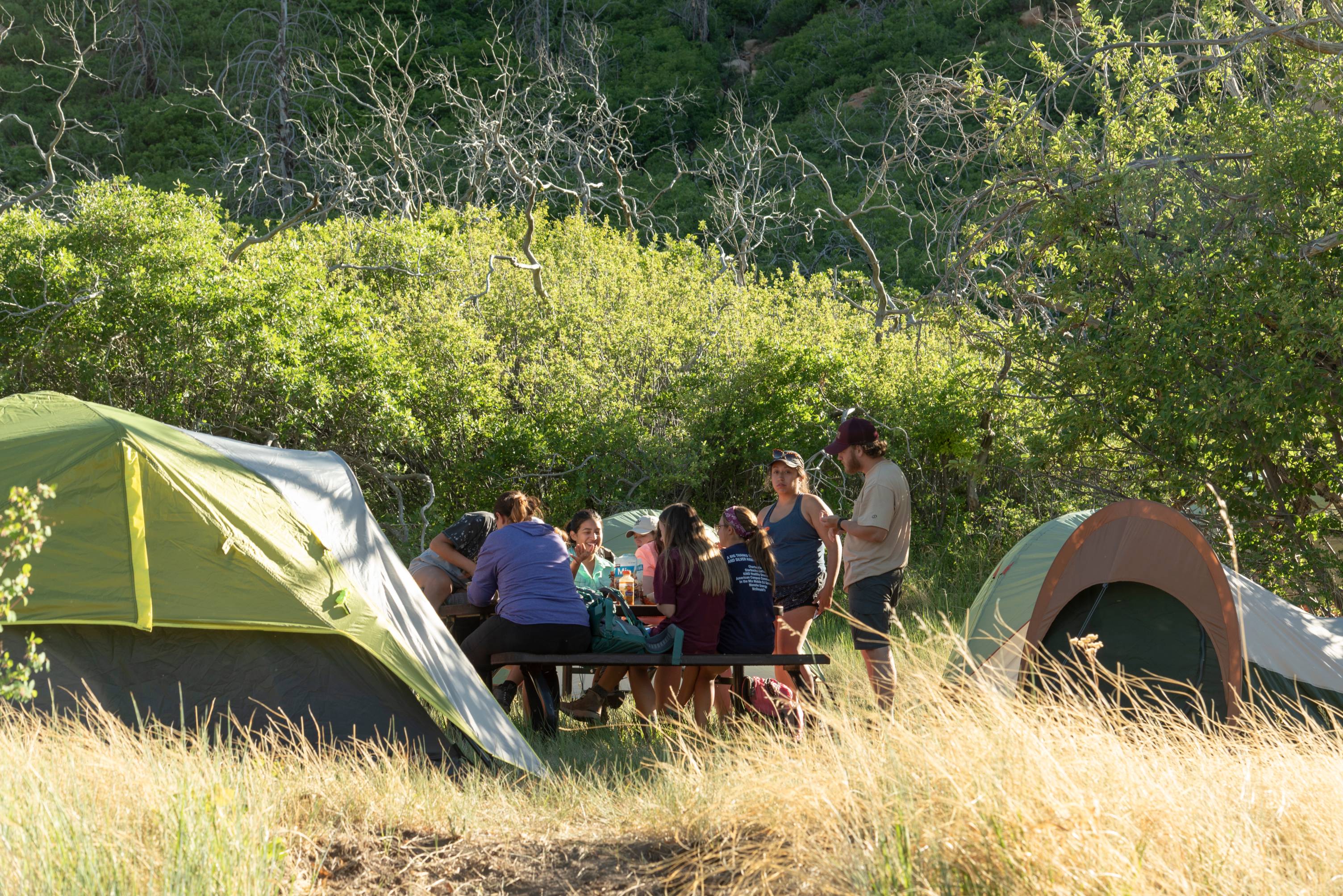 tents at university camp
