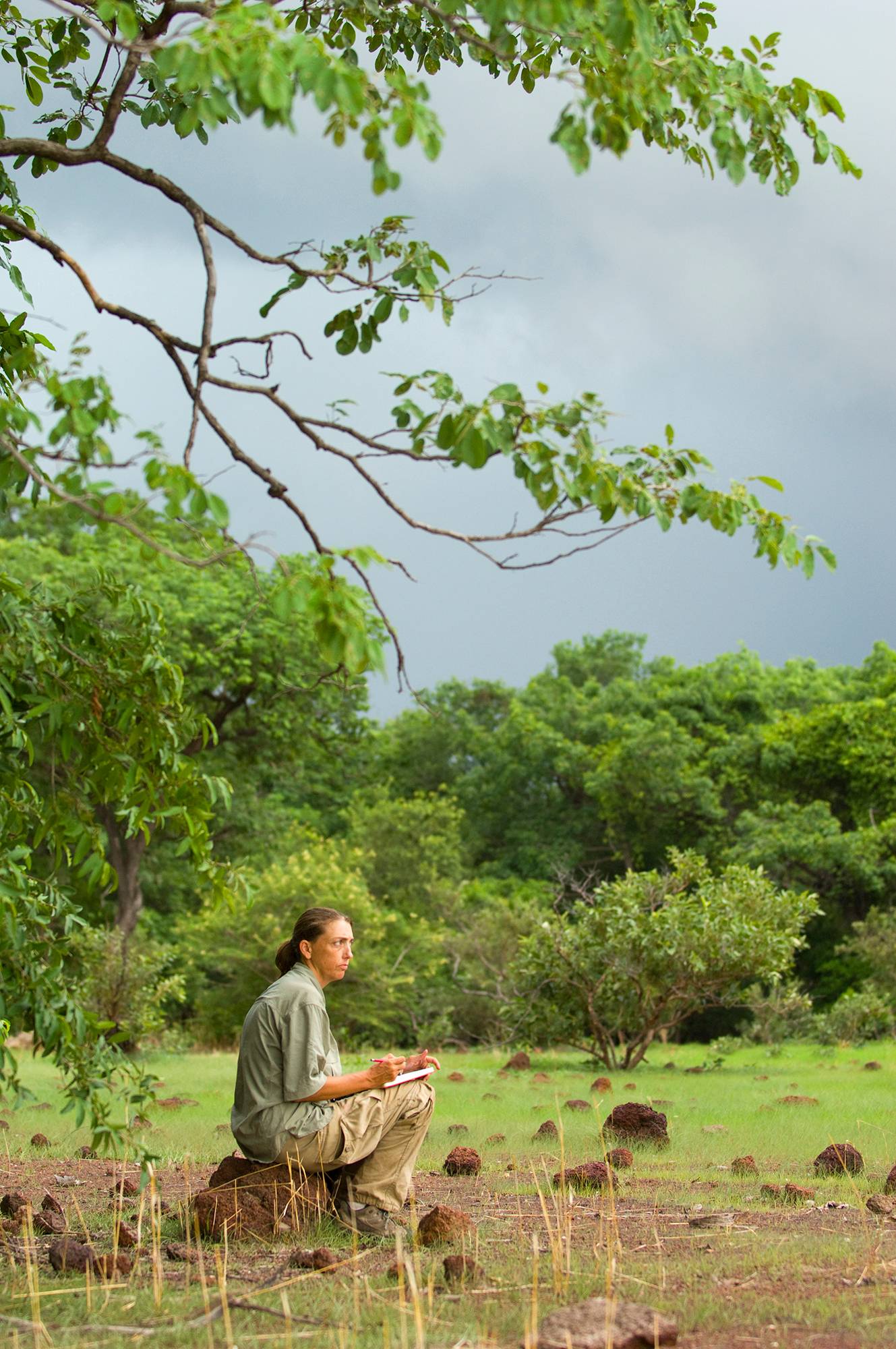 woman sitting on tree stump in the african bush