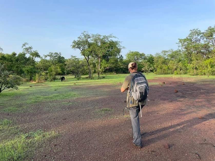 the back of a woman observing chimpanzees off in the distance