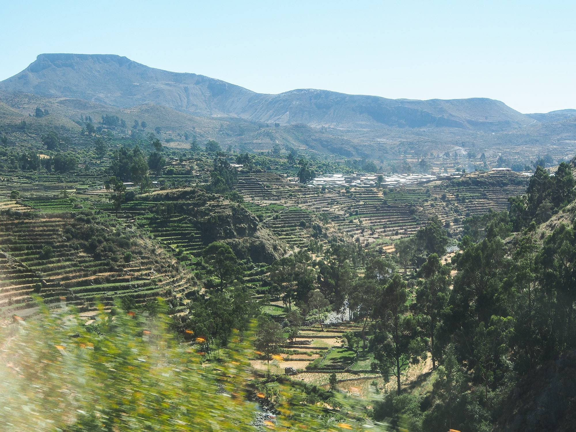 Landscape of the Andes